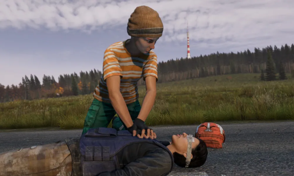 Survivants sur Chernarus dans DayZ